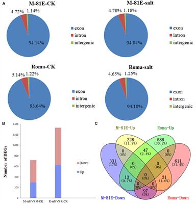 Comparative Transcriptome Analysis Reveals New lncRNAs Responding to Salt Stress in Sweet Sorghum